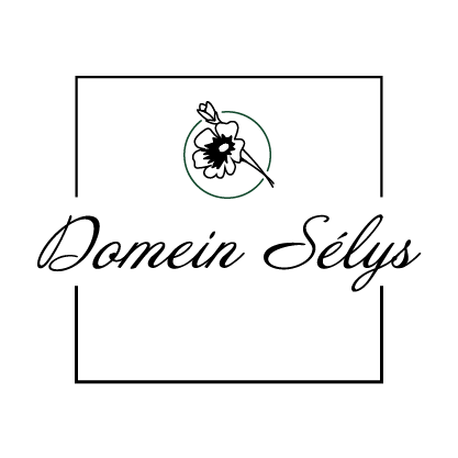 Logo Domein Sélys