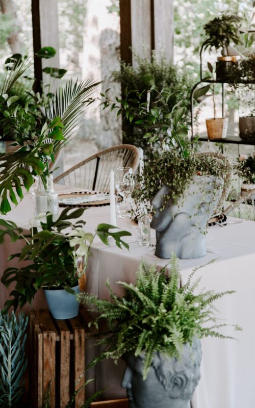 silvia-mara-7iYTdqgInd0-unsplash